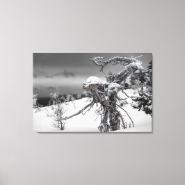 Houten alien in winterse omstandigheden canvas afdruk