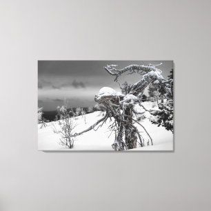 Houten alien in winterse omstandigheden canvas afdruk