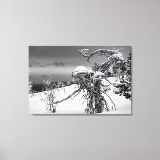 Houten alien in winterse omstandigheden canvas afdruk (Voorkant)