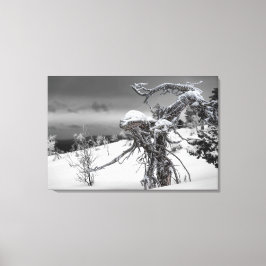 Houten alien in winterse omstandigheden canvas afdruk