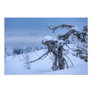 Houten alien in winterse omstandigheden foto afdruk