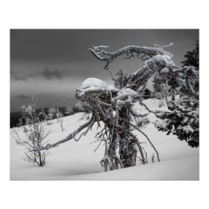 Houten alien in winterse omstandigheden perfect poster