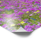 Houten art in het veld Phlox, Blauwe Bonnets Foto Afdruk (Hoek)