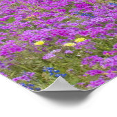 Houten art in het veld Phlox, Blauwe Bonnets met Poster (Hoek)