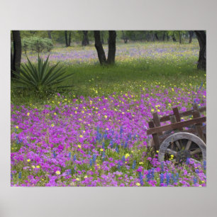 Houten art in het veld Phlox, Blauwe Bonnets met Poster