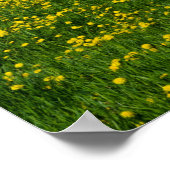 Houten Boerderijen poorten Poster (Hoek)