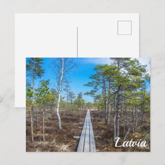 Houten briefkaart over moeras (Voorkant / Achterkant)