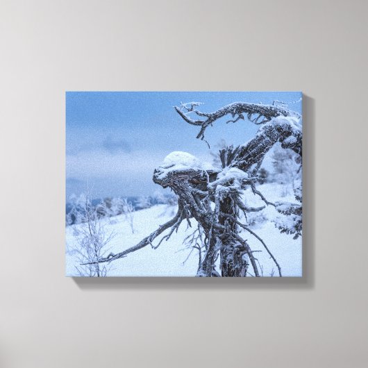 Houten buitenaardse winter canvas afdruk (Voorkant)