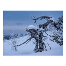 Houten buitenaardse winter perfect poster