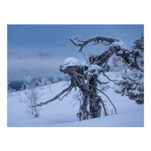 Houten buitenaardse winter perfect poster