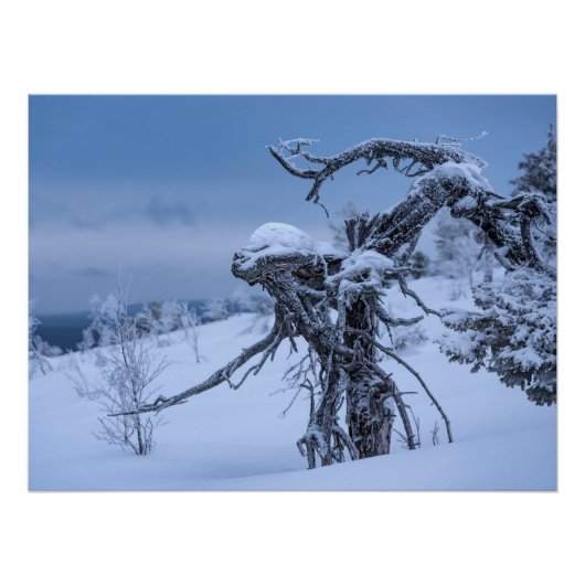 Houten buitenaardse winter perfect poster (Voorkant)