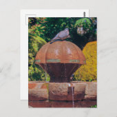 Houten Duivenfontein  Fotografie Briefkaart (Voorkant / Achterkant)