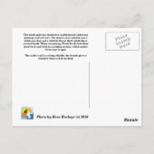 houten eend briefkaart (Achterkant)