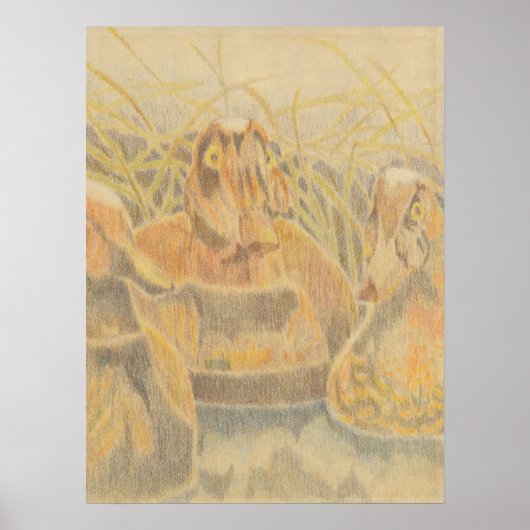 Houten Eend Decoys op Vijver Poster (Voorkant)