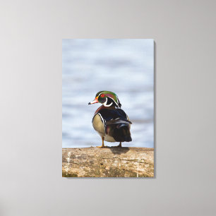 Houten eend mannetje op stam in wetland canvas afdruk