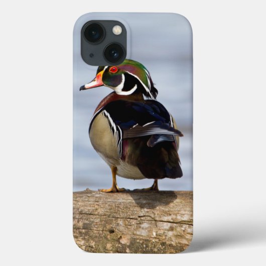 Houten eend mannetje op stam in wetland Case-Mate iPhone case (Achterkant)