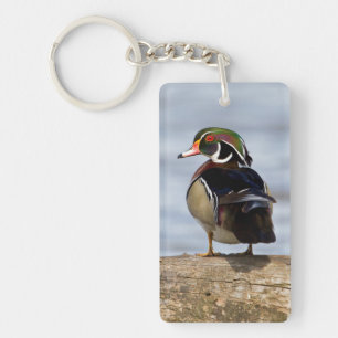 Houten eend mannetje op stam in wetland sleutelhanger