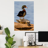 Houten eend mannetje staand op roodwangschildpad poster (Thuiskantoor)