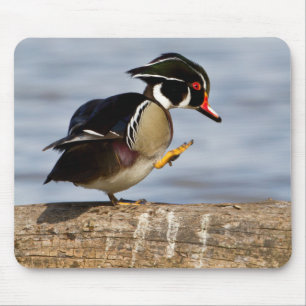 Houten eend op stam in wetland muismat