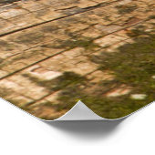 Houten eend op stam in wetland poster (Hoek)