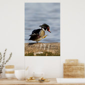 Houten eend op stam in wetland poster (Keuken)