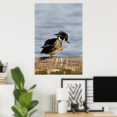 Houten eend op stam in wetland poster (Thuiskantoor)