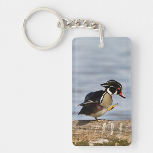 Houten eend op stam in wetland sleutelhanger (Voorkant)