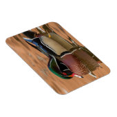 Houten eend zwemt in water magneet (Rechterzijde)