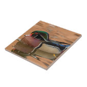 Houten eend zwemt in water tegeltje (Zijkant)
