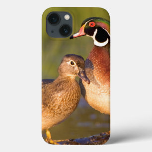 Houten eenden en vrouwtje op stam in wetland Case-Mate iPhone case