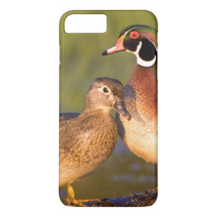 Houten eenden en vrouwtje op stam in wetland 	iPhone 8/7 plus hoesje