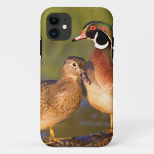 Houten eenden en vrouwtje op stam in wetland iPhone 11 hoesje