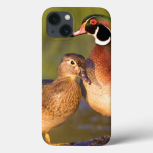 Houten eenden en vrouwtje op stam in wetland iPhone 13 hoesje