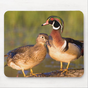 Houten eenden en vrouwtje op stam in wetland muismat