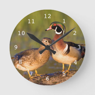 Houten eenden en vrouwtje op stam in wetland ronde klok
