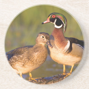 Houten eenden en vrouwtje op stam in wetland zandsteen onderzetter