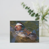 houten eenden met enkel briefkaart (Staand voorkant)