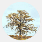 Houten Eikenboom Herfst Bruiloft Ronde Sticker (Voorkant)