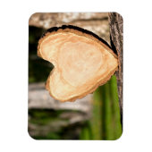 houten hart magneet (Verticaal)