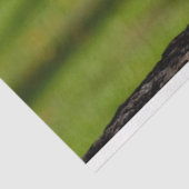 houten hart tissuepapier (Detail)
