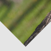 houten hart tissuepapier (Detail)