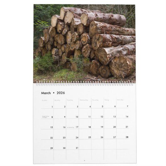 Houten houten log esthetische natuur wand kalender (Mar 2026)