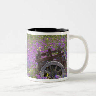 Houten kar in veld van Phlox, Blauwe Bonnets met Tweekleurige Koffiemok