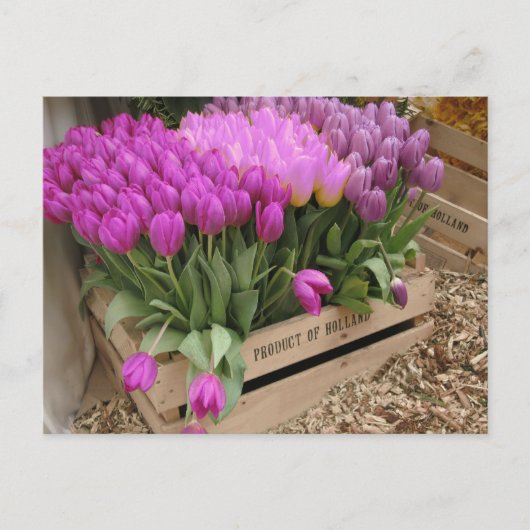 houten krat met paarse tulpen briefkaart (Voorkant)