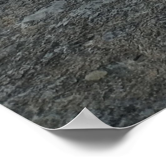 Houten Lake Monster Sculptuur Poster (Hoek)