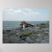 Houten Lake Monster Sculptuur Poster (Voorkant)