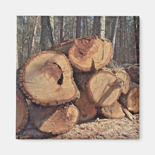 houten magneet (Voorkant)