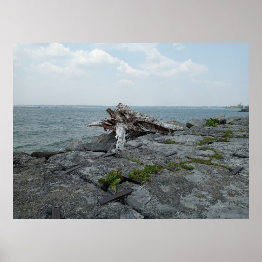 Houten Meermonstersculptuur Poster (Voorkant)