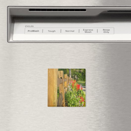 Houten omheining magneet (Insitu (Vaatwasser))