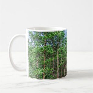 Houten pad in pijnbomenbos koffiemok